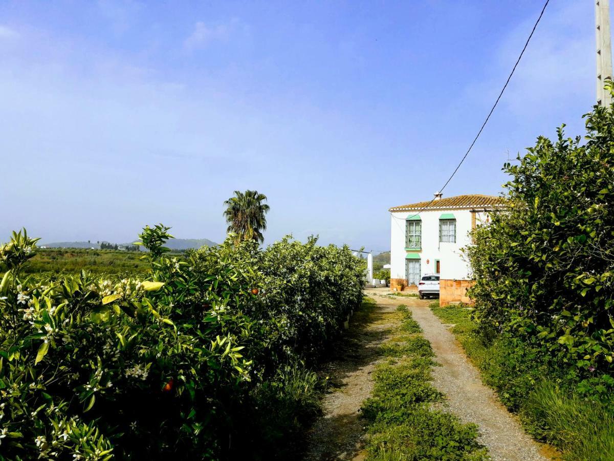 Casa rural la Estrella Pizarra Esterno foto