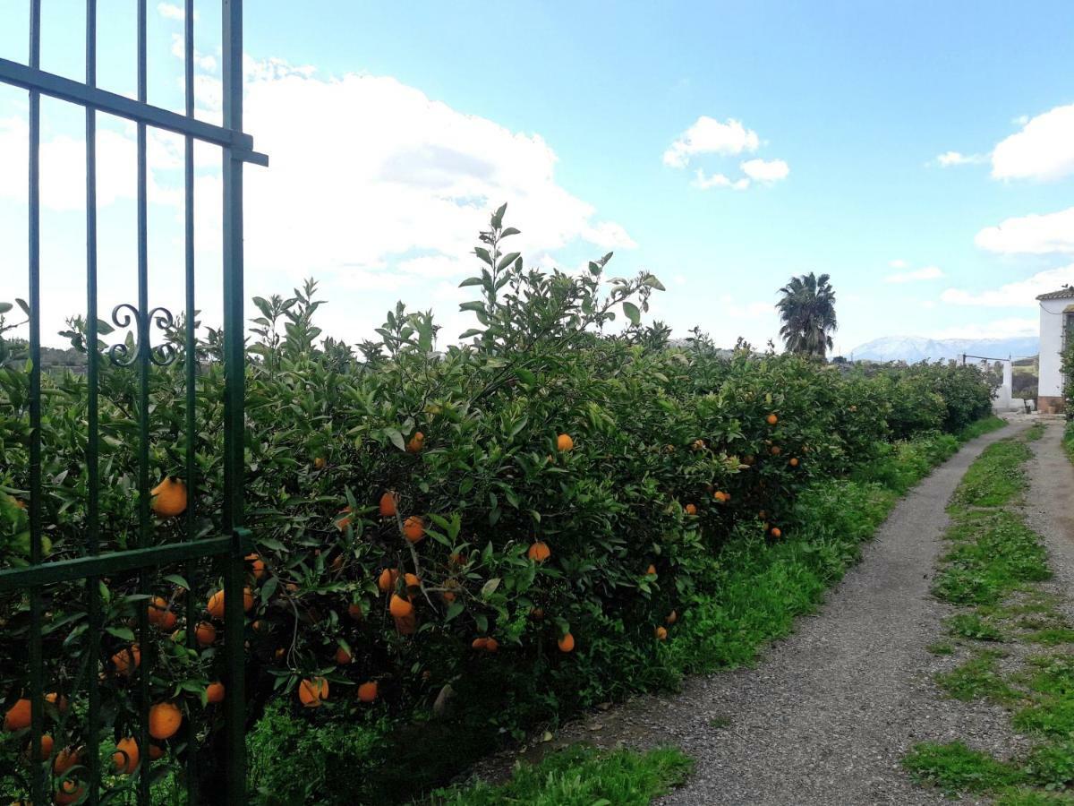 Casa rural la Estrella Pizarra Esterno foto